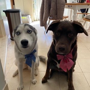 Meet your Posher, Effie